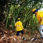 Obras Promueve Más sector Santagueda